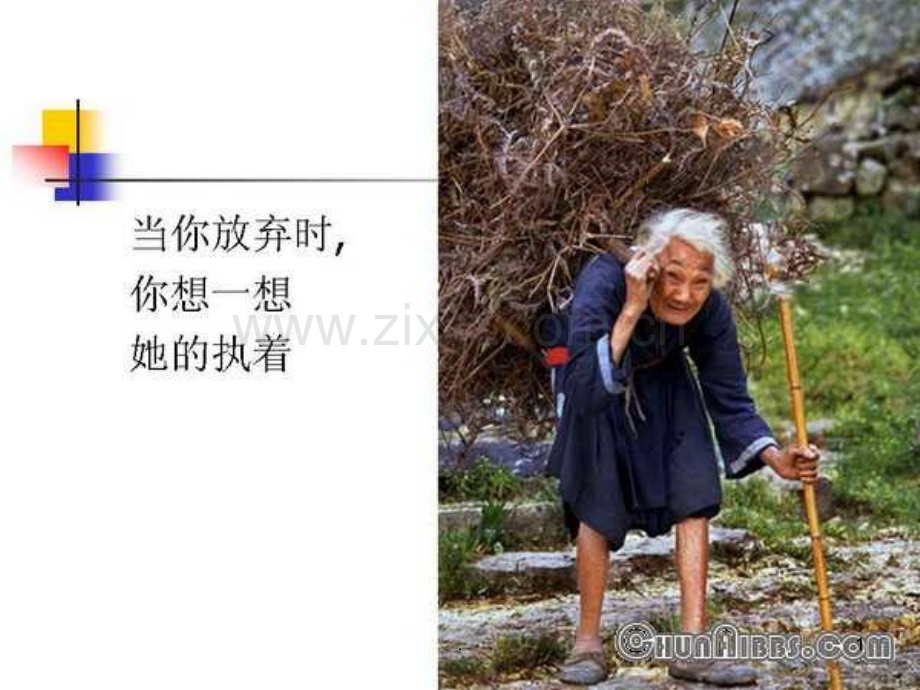 《不要抱怨生活》.ppt_第1页