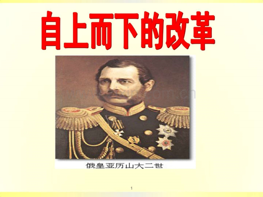 《自上而下改革》.ppt_第1页