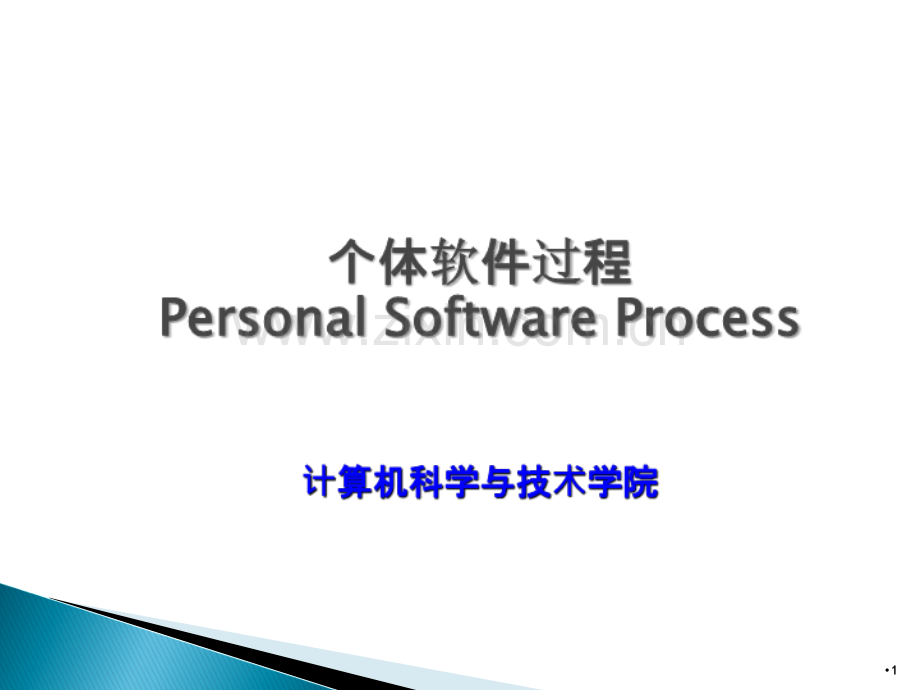个体软件设计.ppt_第1页