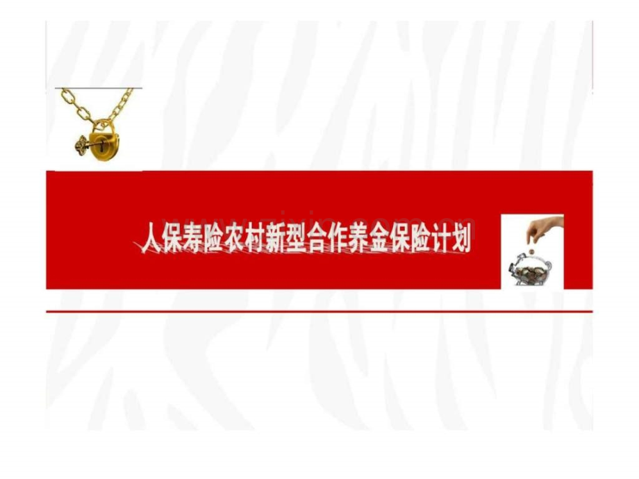 人保寿险团体金保险计划农村新型合作养金保险计划介绍.ppt_第1页
