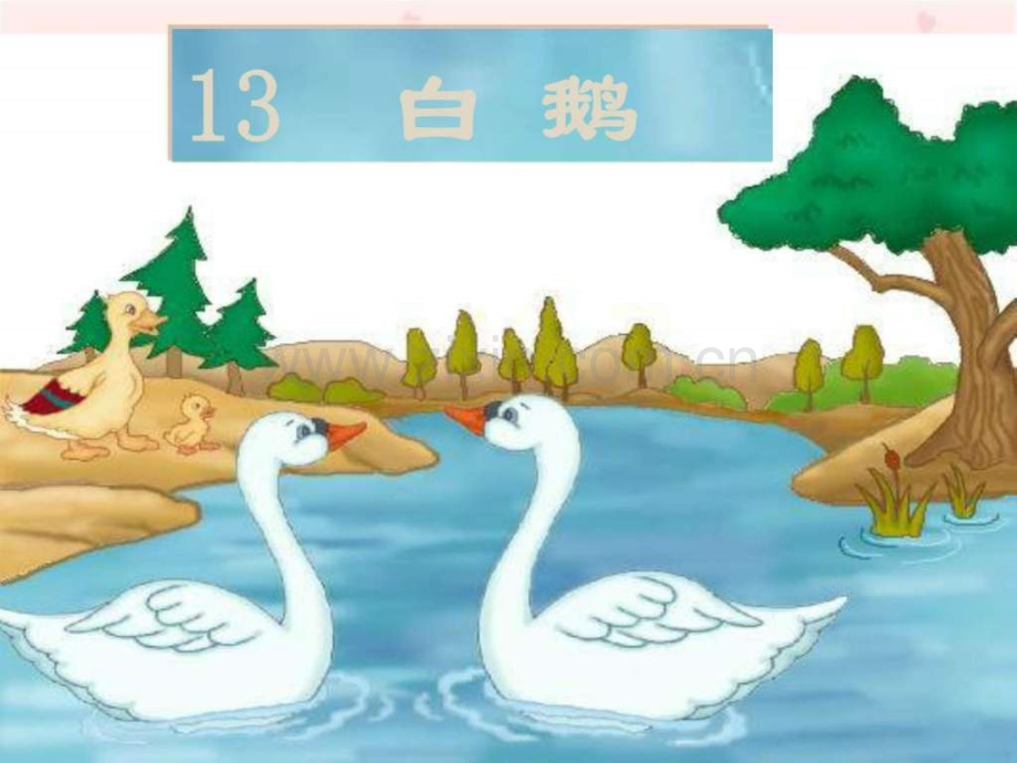 《白鹅》教学演示语文小学教育教育专区.ppt_第1页
