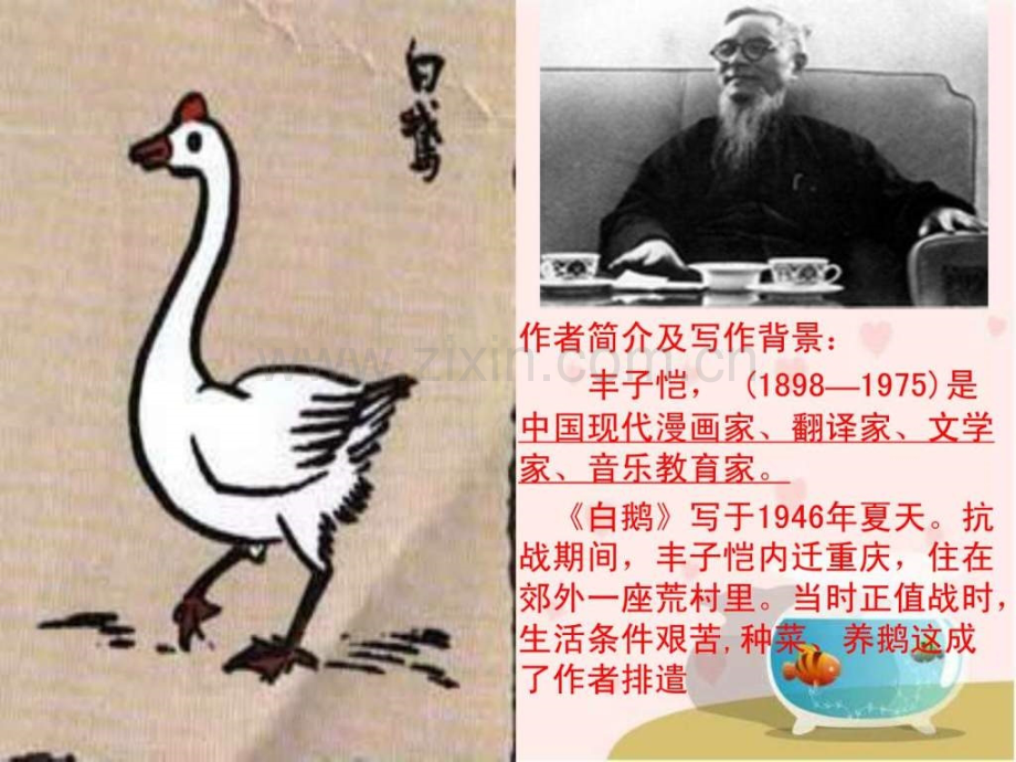 《白鹅》教学演示语文小学教育教育专区.ppt_第2页