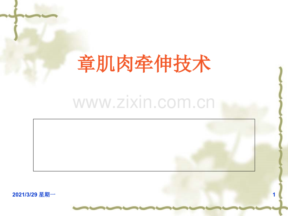 肌肉牵伸技术(下肢牵伸技术与程序).ppt_第1页