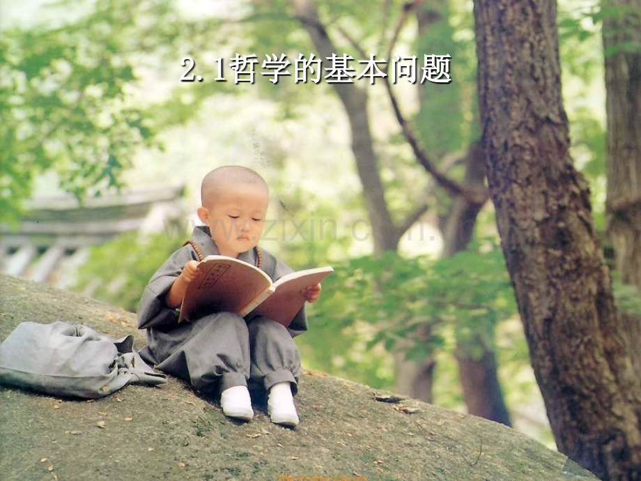 2016-2017学年高中政治-专题2.1-哲学的基本问题(提升版)新人教版必修4.ppt_第1页