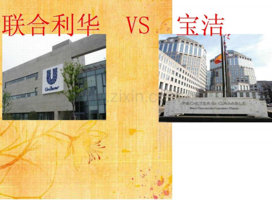 宝洁联合利华PK1635106505.ppt_第1页
