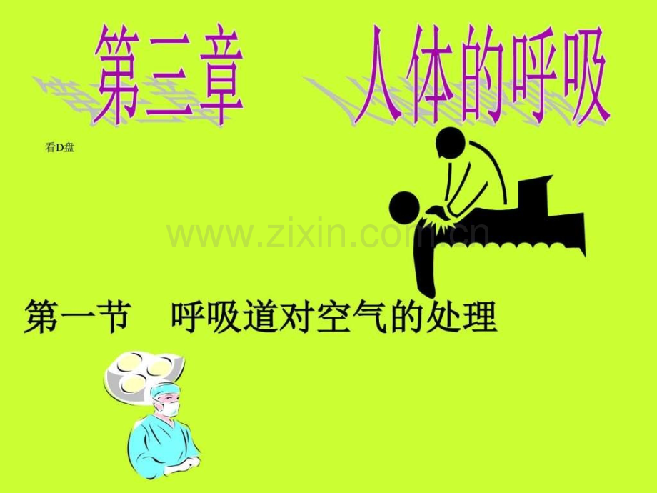 七级生物呼吸道对空气处理文库.ppt_第1页