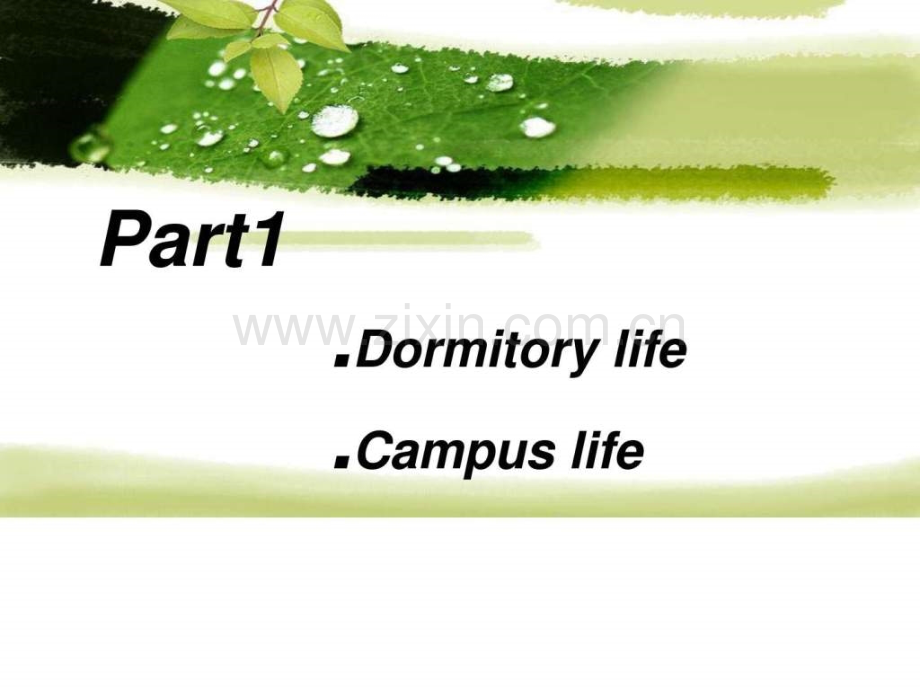 外国大学生在校生活英文.ppt_第2页
