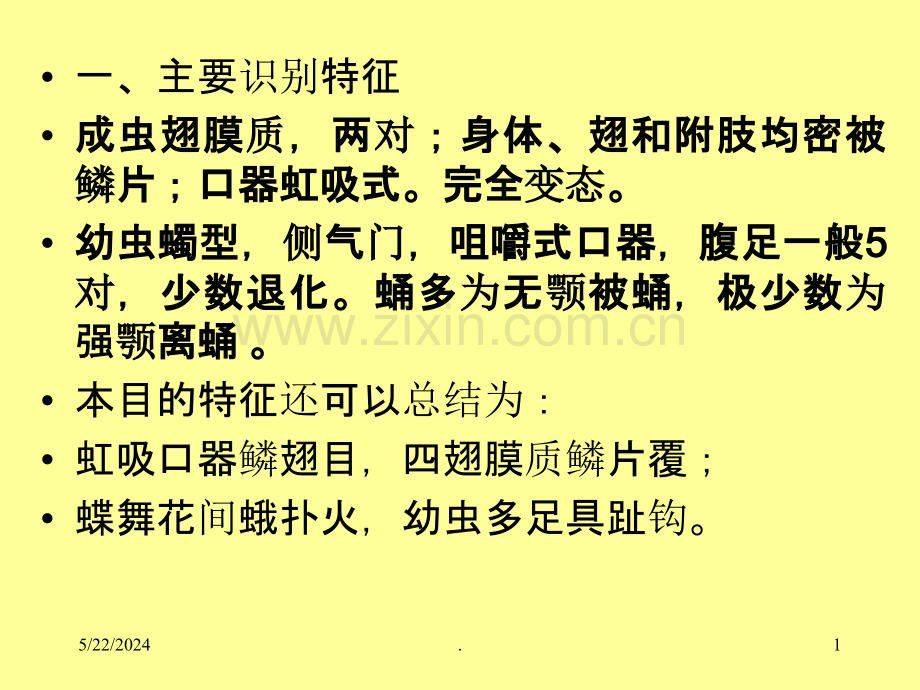 鳞翅目Lepidoptera.ppt_第1页
