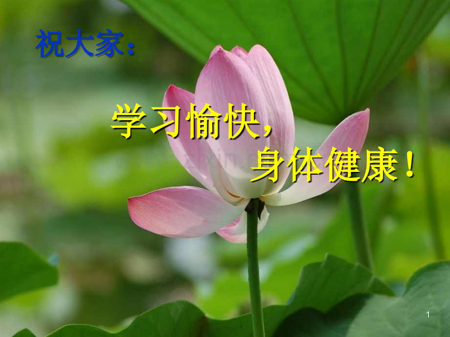 学前教育卫生学.ppt_第1页
