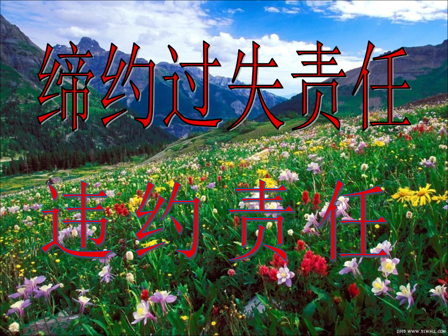 九合同责任.ppt_第1页