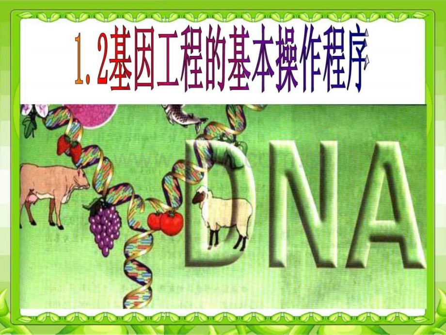 《基因工程基本操作程序》参考1.ppt_第1页