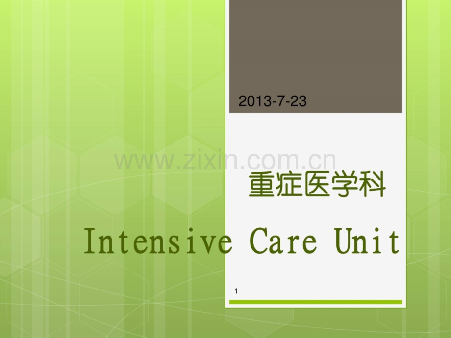 [指南]重症医学科.ppt_第1页