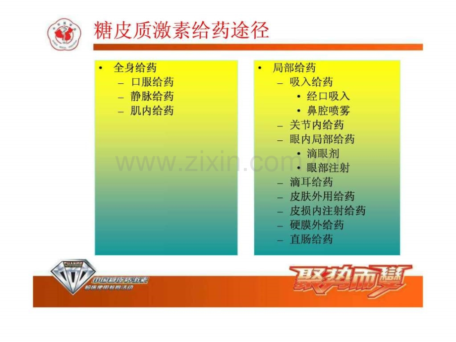 不同糖皮质激素之间区别药剂科1851605776.ppt_第2页