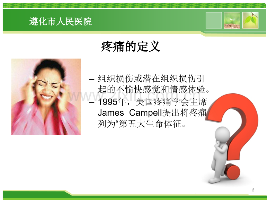 进修汇报—疼痛.ppt_第2页