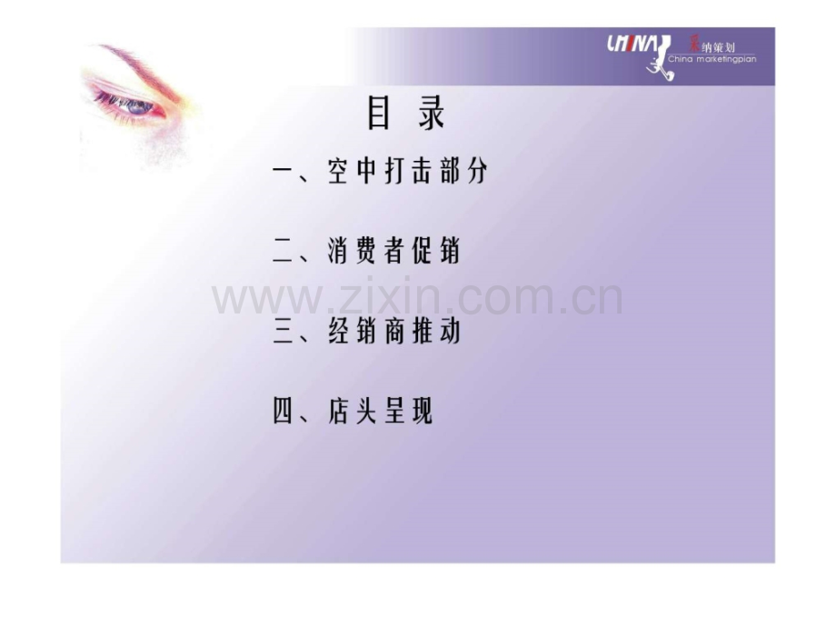 【采纳作品】逸芙雪水美容产品上市方案.ppt_第2页