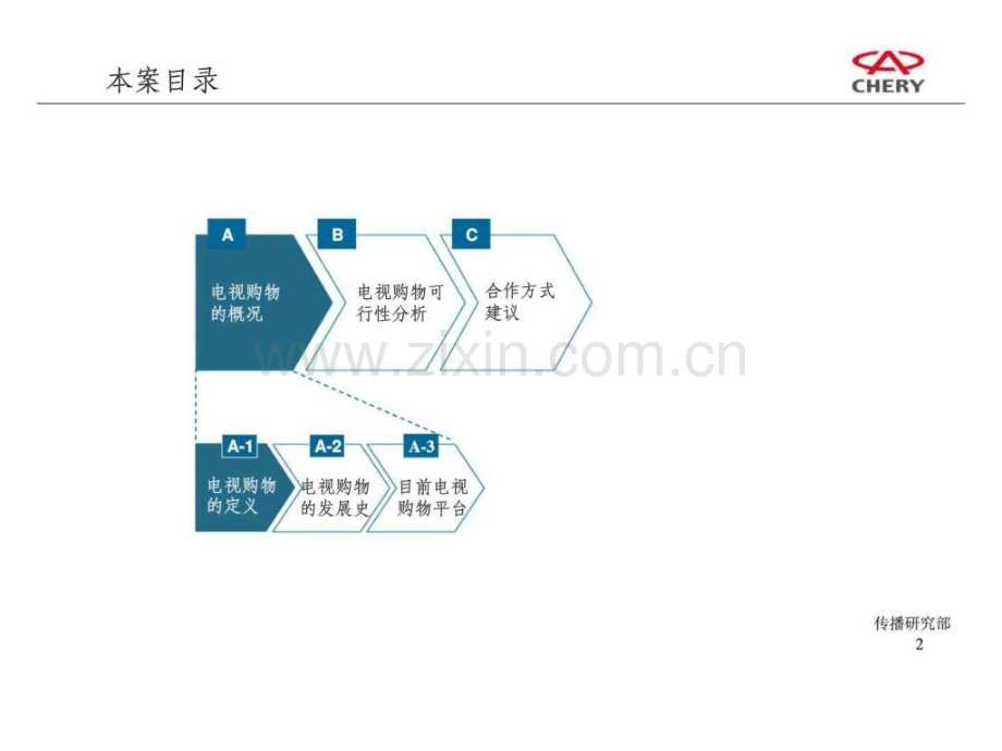奇瑞汽车电视购物-——可行性分析报告.ppt_第2页