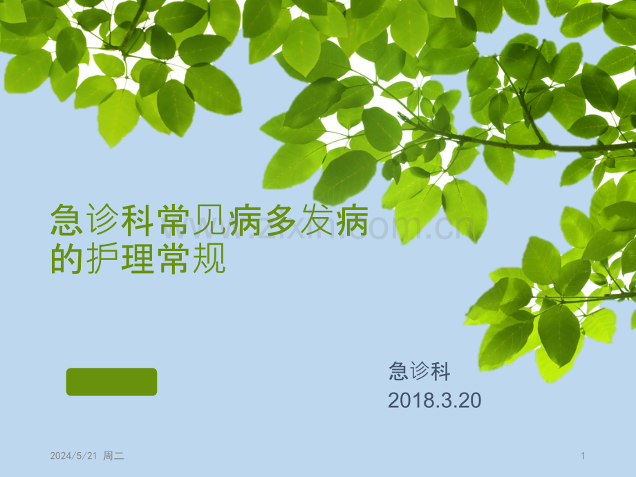 各种常见病的护理.pptx_第1页