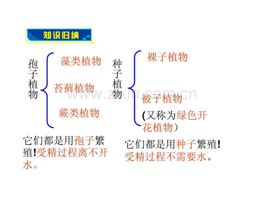 初一生物考.ppt_第2页