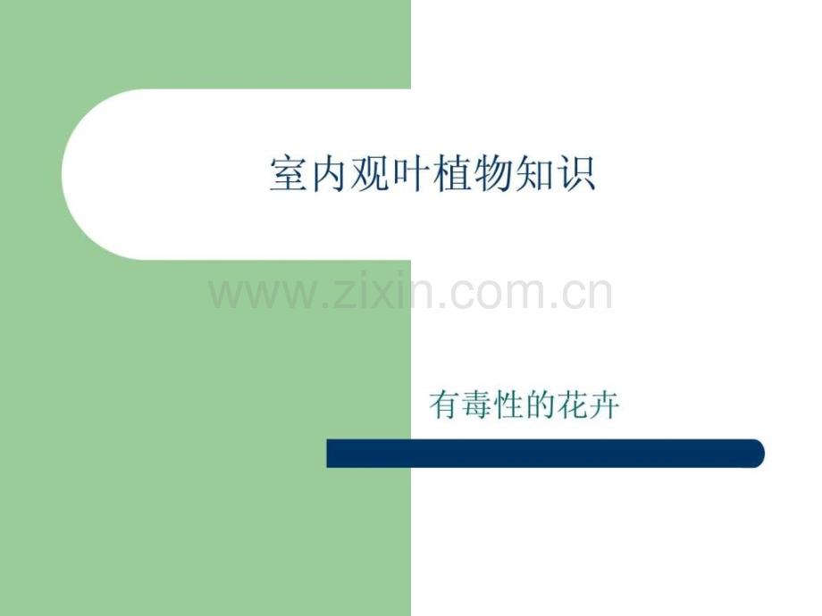 室内观叶植物知识(有毒性花卉).ppt_第1页