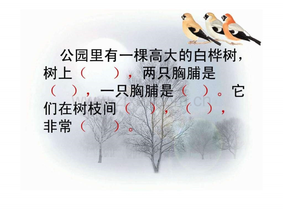 《灰雀》教学2.ppt_第2页