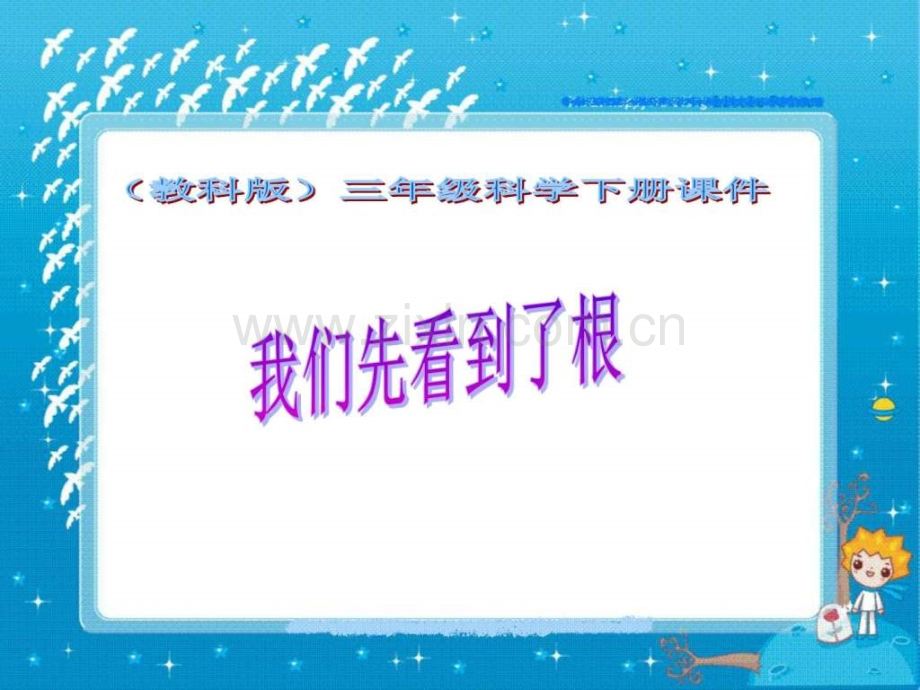 三级科学下册我们先看到了根2教科版.ppt_第1页
