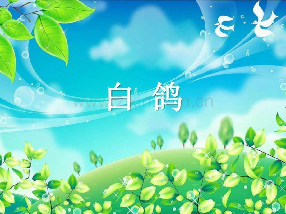 《白鸽》1二级其它课程其它课程小学教育教育专区.ppt_第1页