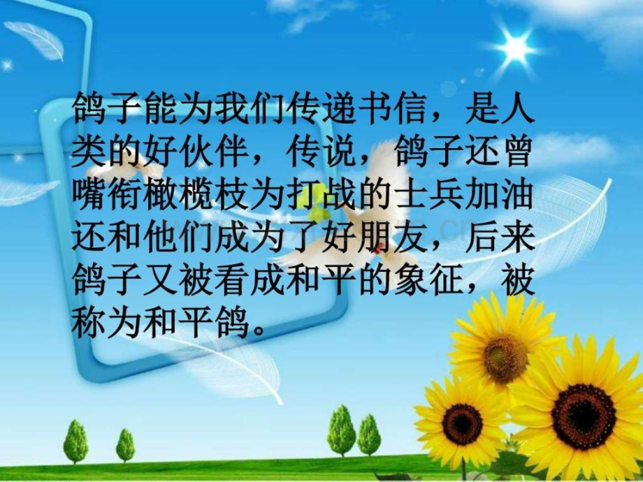 《白鸽》1二级其它课程其它课程小学教育教育专区.ppt_第2页