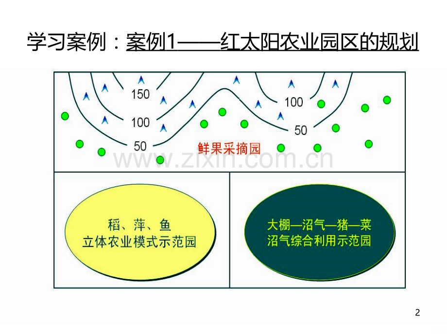问题研究——家乡的农业园建设-.ppt_第2页