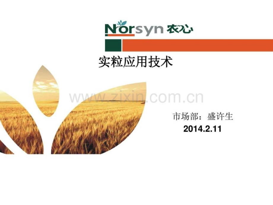 实粒应用技术.ppt_第1页