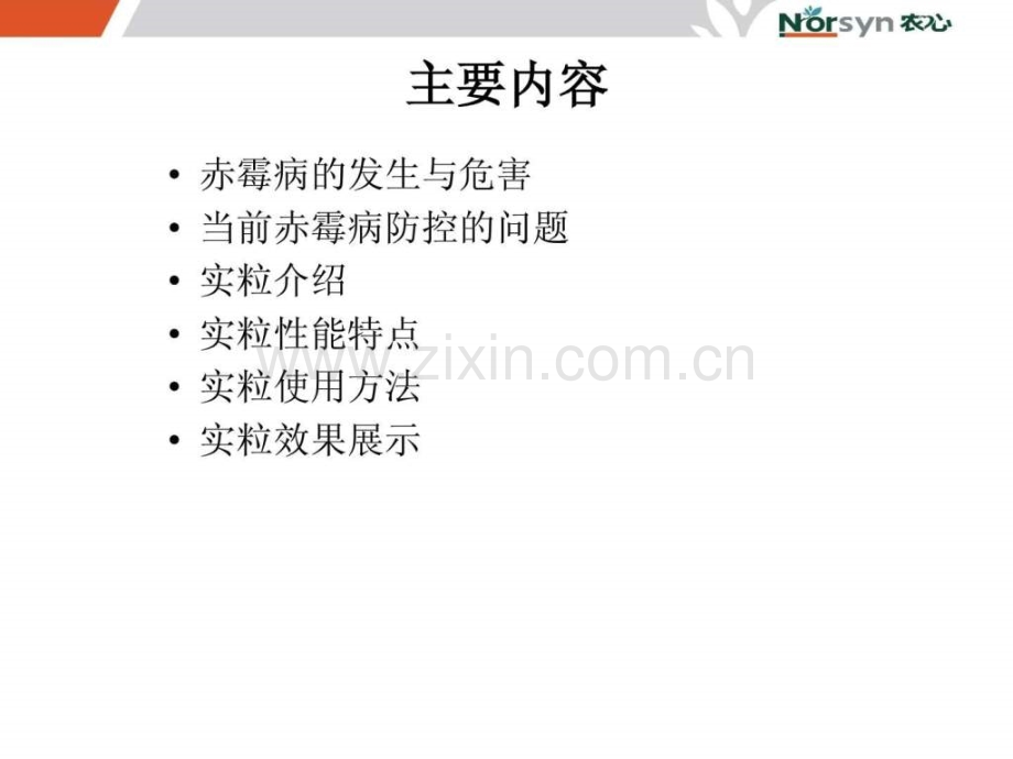 实粒应用技术.ppt_第2页