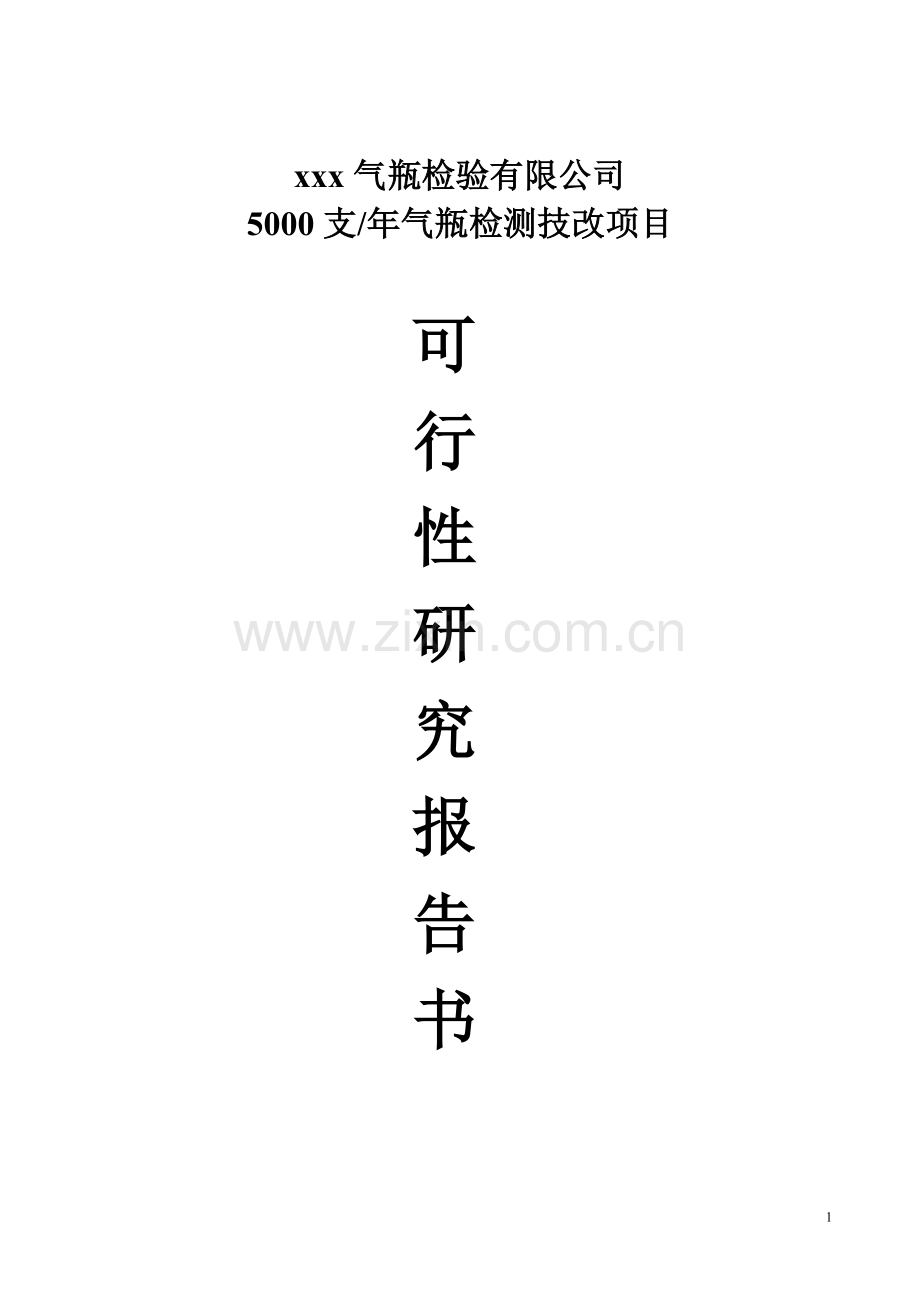 5000只年气瓶检测技改项目可行性研究报告.doc_第1页