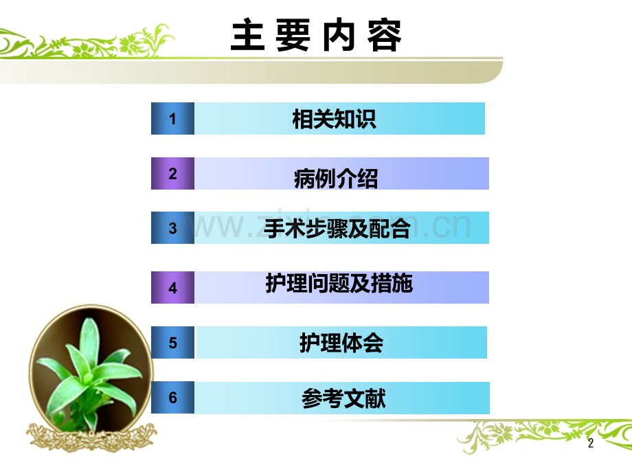 胸椎复发肿瘤切除手术的护理.ppt_第2页