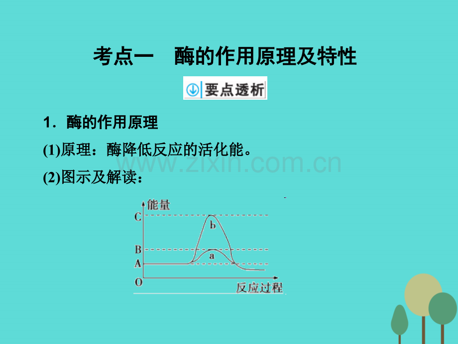 2017年高考生物一轮复习-第3单元-细胞的能量供应和利用-第8讲-酶和ATP课件.ppt_第2页