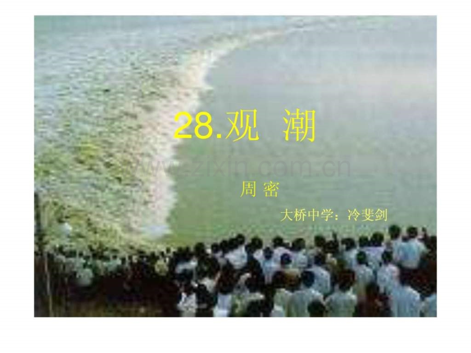 《观潮》教学.ppt_第1页
