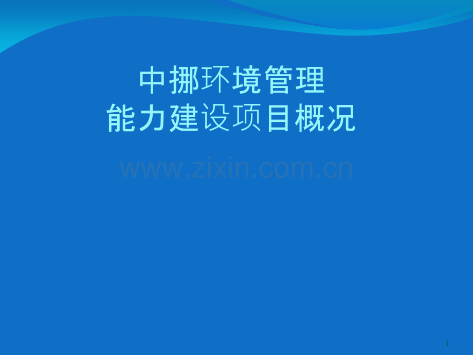 中挪环境管理能力建设项目概况-.ppt_第1页