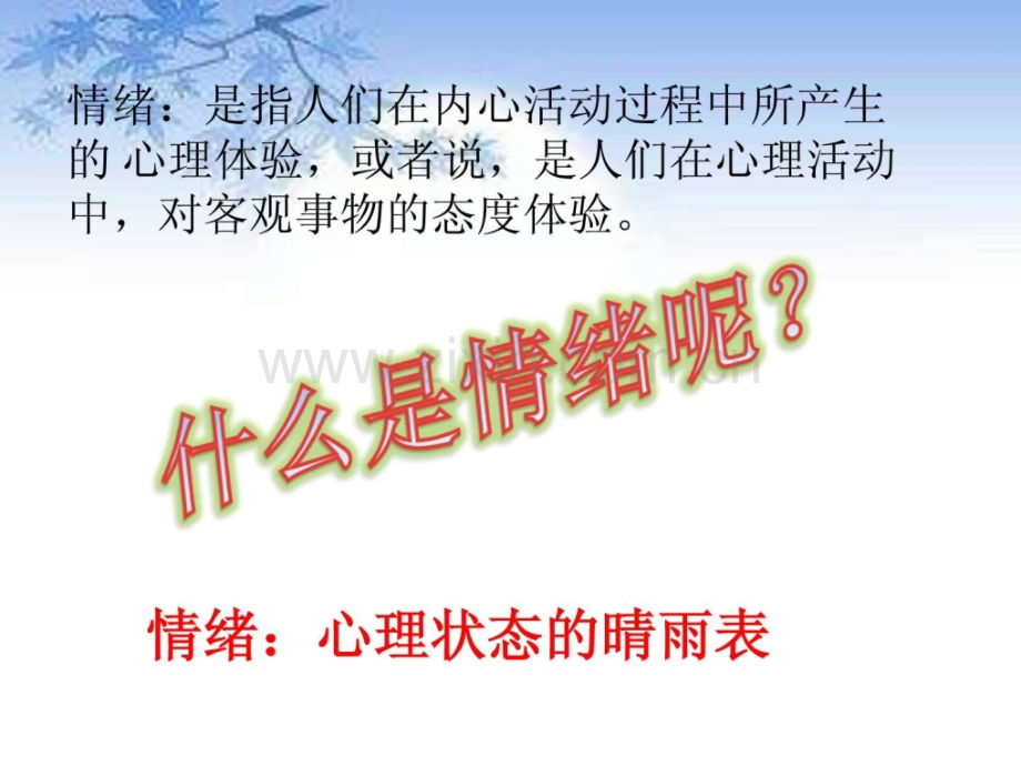 客服及情绪管理一.ppt_第2页