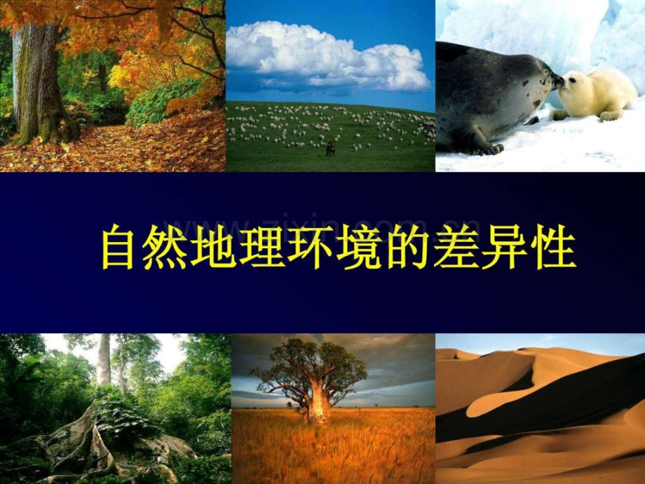 一路西行-过了兰州乌鞘岭后-景致越来越荒凉-到了酒.ppt_第2页
