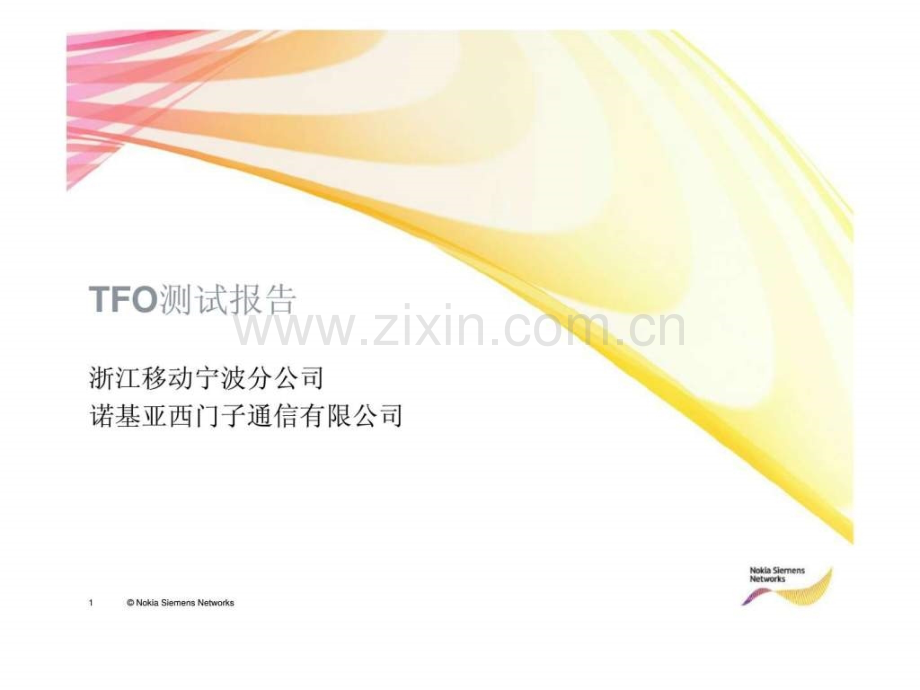 tfo测试报告.ppt_第1页