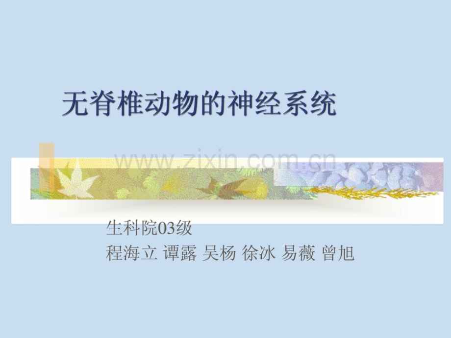 无脊椎植物神经系统.ppt_第1页