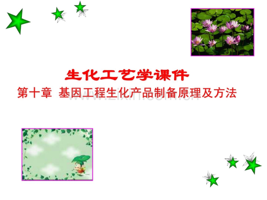 第十章-基因工程生化产品制备道理及方法.ppt_第1页