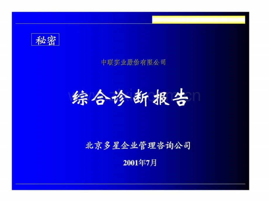 多星咨询：中联实业股份有限公司综合诊断报告.ppt_第1页