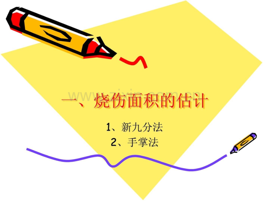烧伤面积评价及分.ppt_第1页