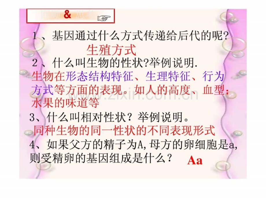 基因显性和隐性初二理化生理化生初中教育教育专区.ppt_第2页