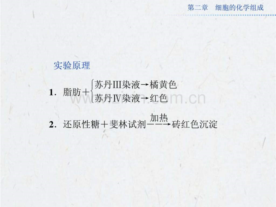 实验-检测生物组织中脂肪还原性糖.ppt_第2页