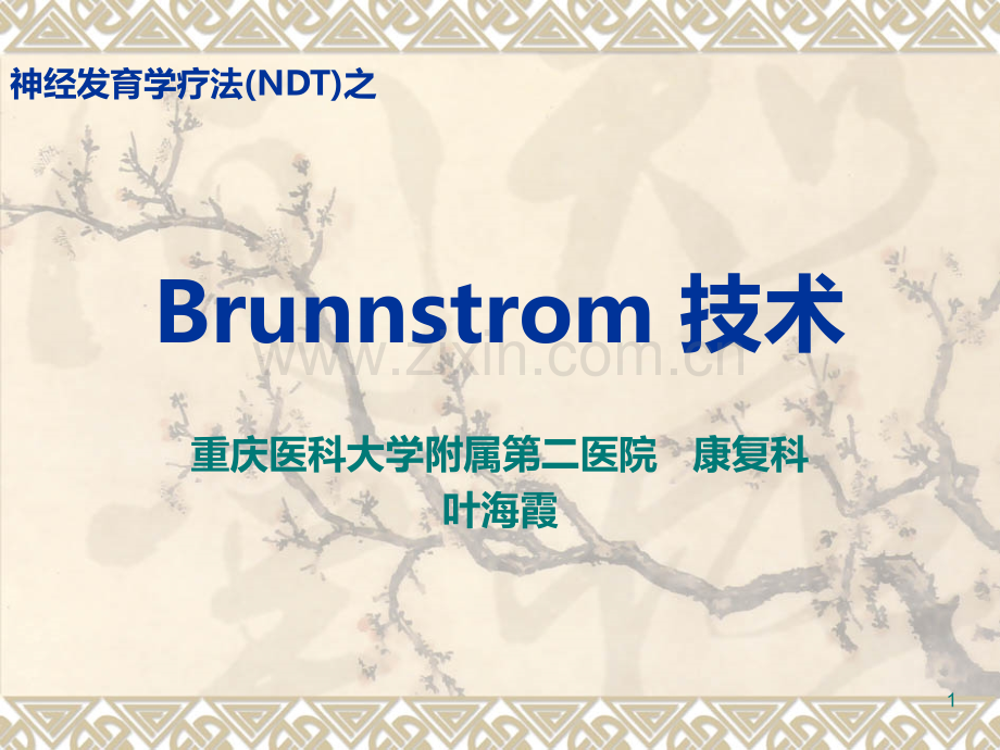 Brunnstrom-技术.ppt_第1页