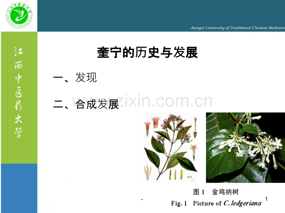 奎宁的合成与发展.ppt_第1页