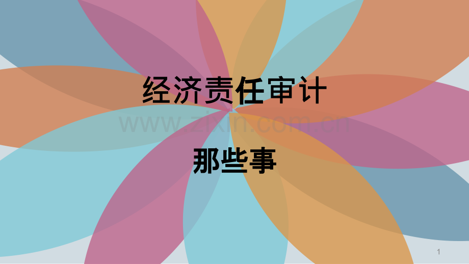经责审计那些事-.ppt_第1页