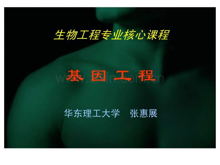 【生物】5目基因克隆与基因文库构建.ppt_第1页