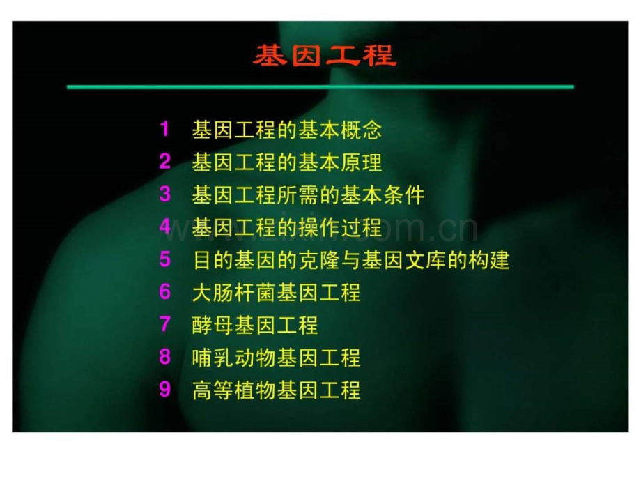 【生物】5目基因克隆与基因文库构建.ppt_第2页
