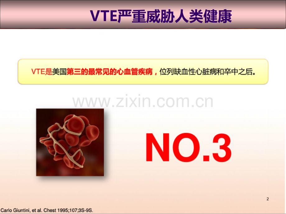 静脉血栓栓塞症的防治与建议.ppt_第2页